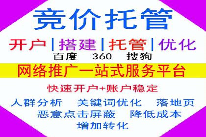 某某SEM团队成功提升网站流量与转化率的实战经验